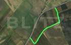 Teren arabil, 25 ha, Giulvaz-Foeni, front stradal 280 ml - 3