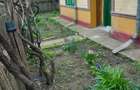Casa batraneasca si teren de vanzare: Silistraru, Braila - 8
