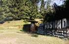 Vila la rosu - 15 camere, 700mp, Baile Tusnad, jud. Harghita - 5
