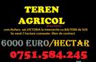 Teren AGRICOL categoria A- com Nufaru sat Victoria - 3