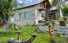 2 Case + teren 1390 mp langa parcul central Provita de Sus - 17