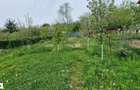 Resita Teren 778 Mp Intravilan Zona Renk - 9