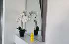 De inchiriat apartament cu 2 camere la Papadie, etaj 3, renovat, 500 E - 20