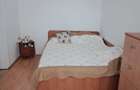 Apartament 3 camere de vanzare Strada Crizantemelor, Rahova - 6