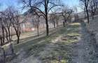 Teren langa Piatra Neamt - 7