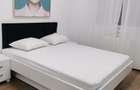 Inchiriez apartament cu 2 camere Lux,cu loc de parcare subteran ,Cartierul Prima Onestilor,, - 9