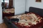 Inchiriez apartament cu 2 camere parter zona Piata Victoriei- Titulesc - 2