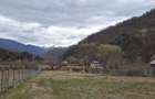 Teren de vanzare in Malaia(Valcea) - 5