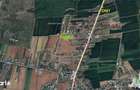 Terenuri intravilane de vanzare Tancabesti - 1
