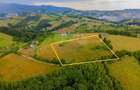 Teren cu PUZ, 11600mp, Brasov Poiana Marului, pe ruta via Transilvanica - 1