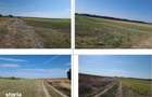Teren extravilan Mavrodin, ID: R3505049