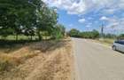 Vand Teren Intravilan in Centrul Localitati Rapsig Jud. ARAD 1250 mp. - 10