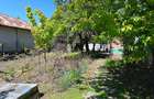 Casă cu Teren 1600 Mp în Vedea - 4