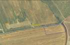 Teren Albota / zona Statiune - Papillon / 10.000 mp / Deschidere 142 m - 6