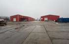 Inchiriere hale industriale, 1650 mp sau mai putin, autorizatie ISU - 3