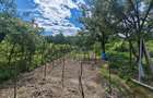 Oportunitate Rara: 3 Case in Aceea?i Curte| 66.000 euro - 3