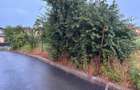 Teren intravilan 4.000 mp | Mogosoaia | Dubla deschidere - 5
