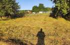 Proprietar: Teren 1.000 mp in Salicea Vanzare directa, Utilitati, Gard si PUZ in Curs (Estimare Aug-Sept) - 4