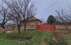 Vand casa in serbia jasa tomic - 9