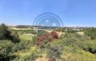Vila cu 6camere de vanzare in Carcea/Dolj - 6