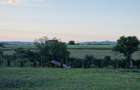 Teren intravilan de vanzare Sasenii Noi, Vernesti. - 7
