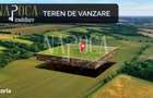 Teren intravilan pentru constructii de vanzare in Sanmartin - 4
