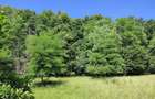 Teren extravilan Pietrosani, Arges - 5