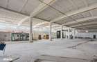 Teren Industrial / Hale de Vanzare 4.1 Ha - Zona industriala - Harlau