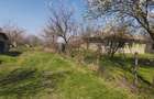 7.700 mp la pachet 2.500 mp intravilan construibil + 4.500 mp extravilan + 700 mp vie letca veche - 7