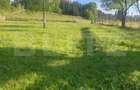 Teren intravilan in Vatra Dornei, 2000 mp - 7