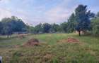 Proprietar: Teren 1.000 mp in Salicea Vanzare directa, Utilitati, Gard si PUZ in Curs (Estimare Aug-Sept) - 3
