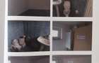 Inchiriez spa?iu comercial. - 2