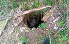 Teren mixt, 13.800 mp, fara gard, in zona rurala - 2