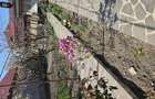 Vand schimb casa Sendreni - 14