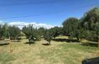 Teren Razvad/Targoviste 1300mp