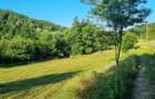 De vanzare proprietate deosebita in judetul Bihor Comuna Orvisele - 1