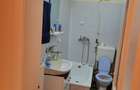 Apartament cu o camera in Timisoara - 5
