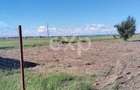 Teren de vanzare Bradu, Arges | 303 mp | 9.900 - 1