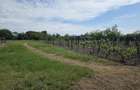 Vand casa comuna Celaru, sat.Soreni ,jud.Dolj - 6
