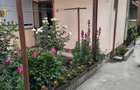 Inchiriez apartament la curte cu Dormitor+CameraZi ULTRACENTRAL - 7