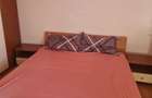 Inchiriere apartament 2 camere Cantemir , Tineretului - 13