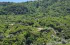 Casa de vanzare, jud prahova la 12km de valenii de munte - 5