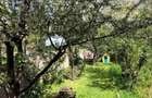 Apartament cu grădină proprie, vilă exclusivistă Andrei Muresanu. - 1