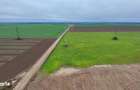 Teren Intravilan Centura Pantelimon Moara Domneasca