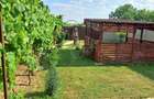 Casă cu 3 camere cu Teren 635 Mp în Central - 1