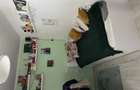 Vand apartament cu 2 camere conf 2 in Dambu la parter - 9
