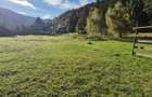 Teren Tarcau intravilan - 4