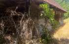 Vand casa in zona Brusturi, Jud.Arad - 4