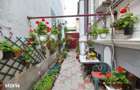 Casa individuala | Strada Plantelor | Curte proprie - 19