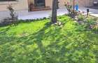 Casa in Cantemir cu 3 dormitoare, living, bucatarie, 2 bai,teren 475mp